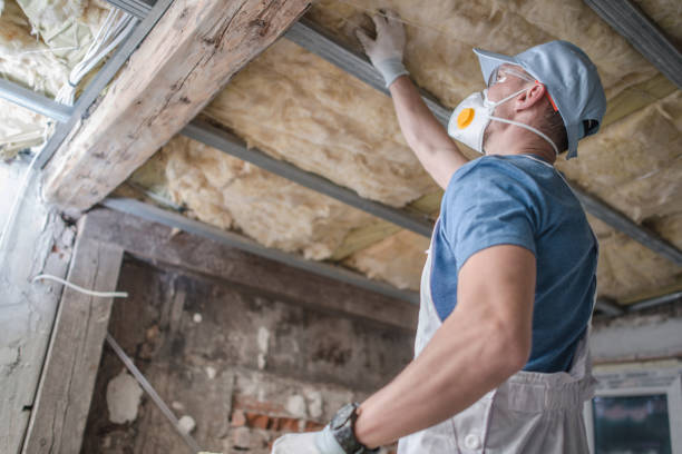 Best Cellulose Insulation  in Meridian, TX