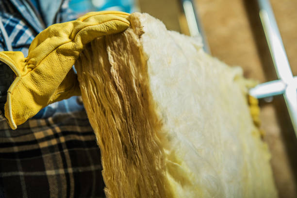 Best Soundproof Insulation Installation  in Meridian, TX