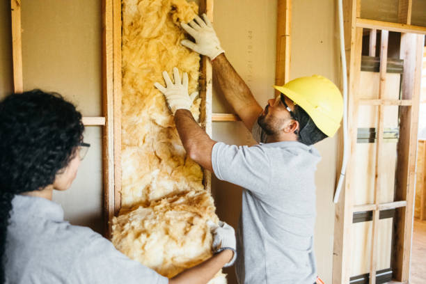 Best Insulation for New Construction  in Meridian, TX