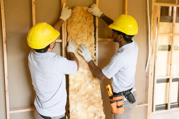 Best Energy-efficient Insulation  in Meridian, TX