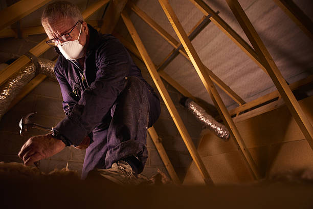 Best Attic Insulation Installation  in Meridian, TX