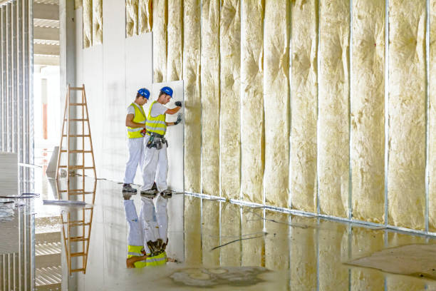 Best Insulation Inspection Services  in Meridian, TX